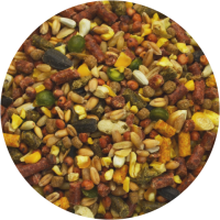 Gallo de oro con el complejo Energy-Max.Combinación ganadora de Carnitina y un núcleo energético que brindan al gallo musculatura y resistencia.