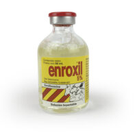 ENROXIL 5% 20 ML - Image 2