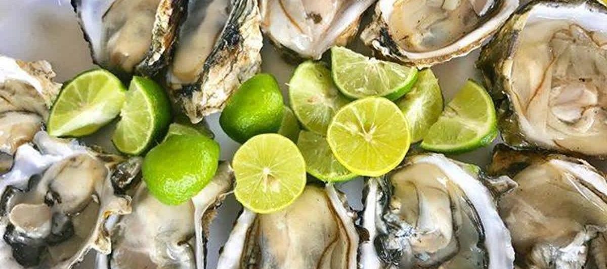 Ostión, un cultivo completo y versátil este 2022