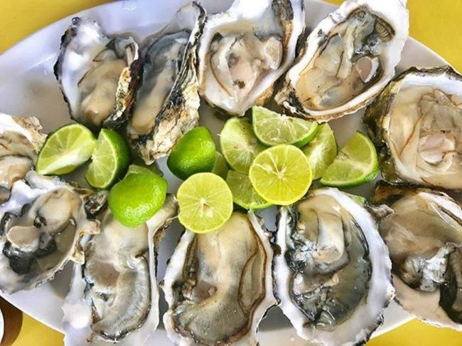 Ostión, un cultivo completo y versátil este 2022