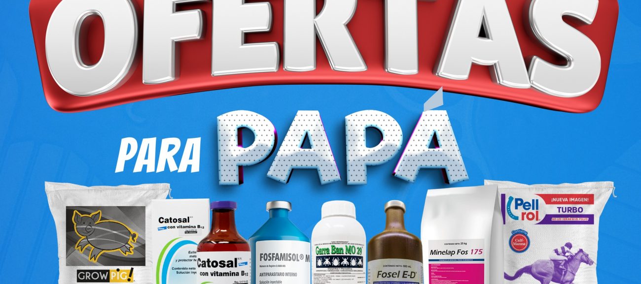 Aprovecha las super ofertas para Papá